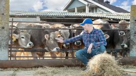 В КубГАУ создали технологию ускорения генетического отбора КРС 